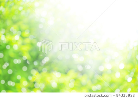 Fresh green sunbeams 94323958