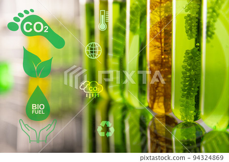 Algae biofuel has a low carbon footprint. 94324869