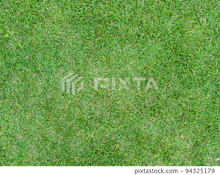 Natural grass on the ground 94325179