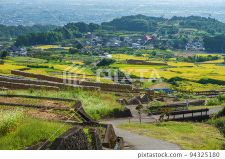 中野的梯田和南阿爾卑斯市的街景，秋天的鄉村風光 94325180