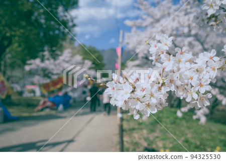 春天的上田城跡公園 94325530