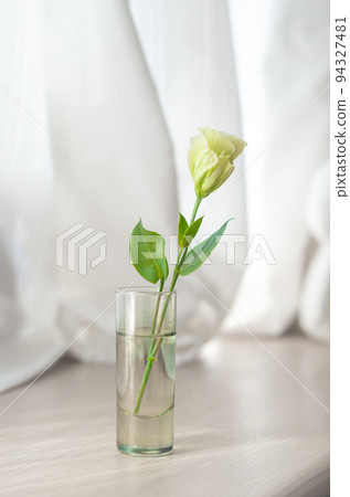 窗邊的花~白洋桔梗~ 窗邊的花~白洋桔梗~ 94327481