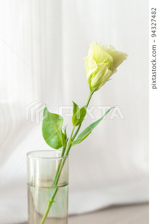 Flowers by the window ~White Lisianthus~ Flowers by the window ~White Lisianthus~ 94327482