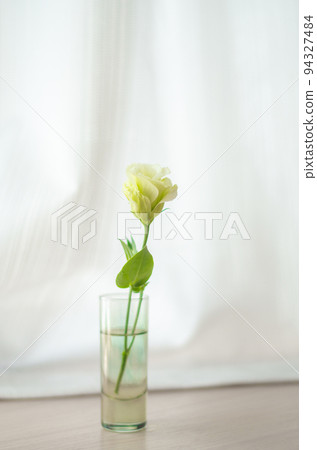 窗邊的花～白洋桔梗～ 94327484