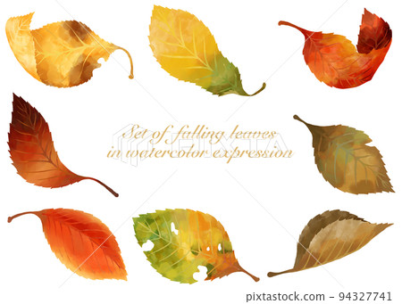 Fallen leaves material set drawn in watercolor Fallen leaves material set drawn in watercolor 94327741