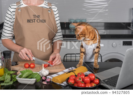 The cat and her owner prepare food by looking at the recipe in the laptop. The cat and her owner prepare food by looking at the recipe in the laptop. 94327805