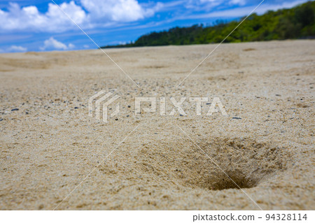 [德之島]海灘巢 94328114