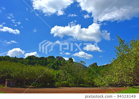 Autumn scenery of Tazume, Oita Prefecture 94328149