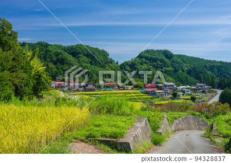 田園詩般的平坦森林鄉村風光 94328837