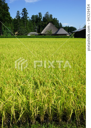Original landscape of Japan Original landscape of Japan 94329454