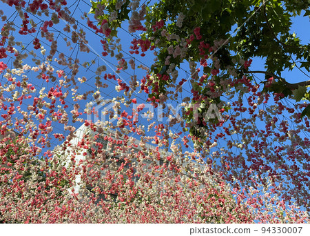 Pink and red flowers are attached to a net stretched over the street. Sunny day. 94330007