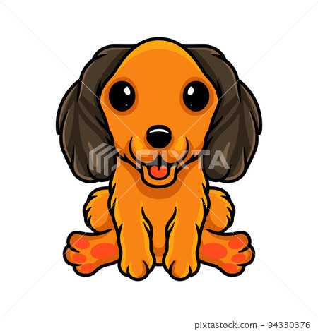 Cute dachund dog cartoon sitting Cute dachund dog cartoon sitting 94330376