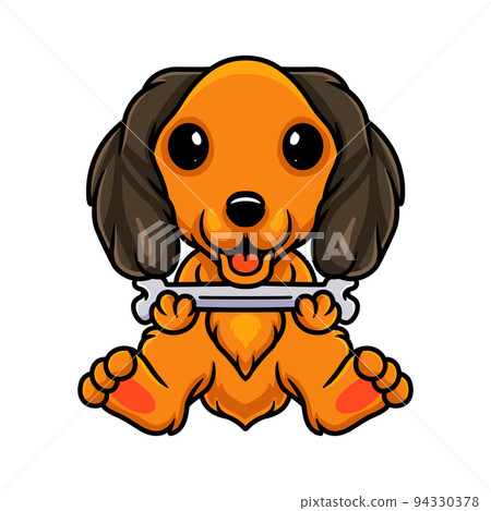 Cute dachund dog cartoon holding a bone Cute dachund dog cartoon holding a bone 94330378