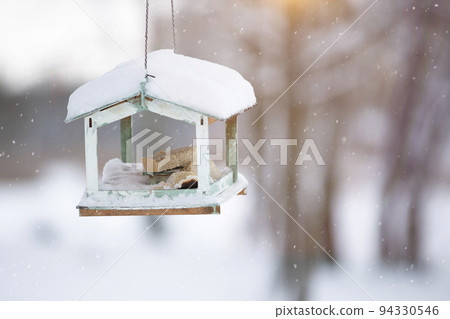 Bird feeder with slices of bread on the background of a winter landscape. 94330546