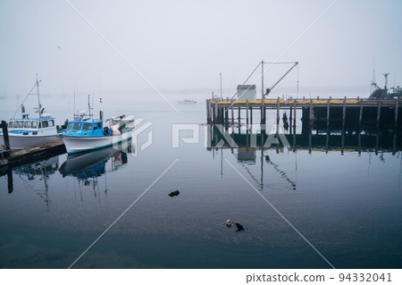 Endangered sea Otter nursery in Morro Bay marina California on a hazy morning. Wildlife preservation 94332041