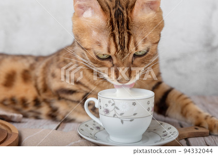 Beautiful bengal cat next to a cup of milk on the table. 94332044