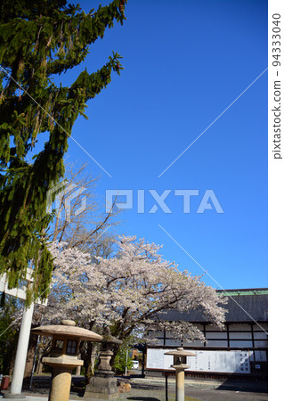 小樽的住吉神社 94333040