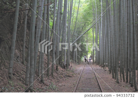 Abandoned railroad track and bamboo grove 94333732