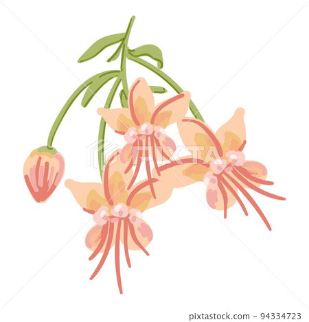 Flower cacao tree icon cartoon vector. Cocoa bean. Plant powder 94334723