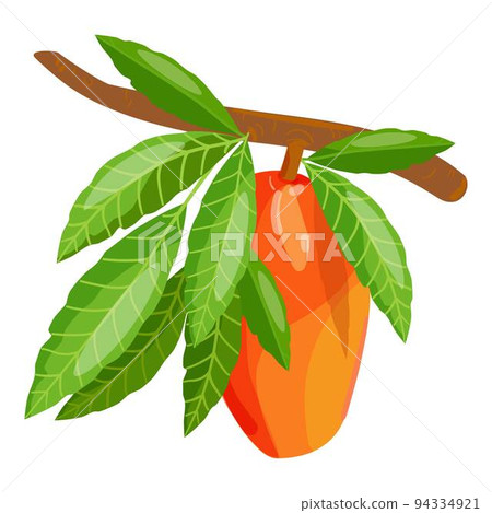 Mango branch icon cartoon vector. Tropical leaf. Garden fruit 94334921