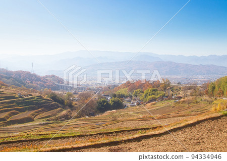 Late autumn rice terraces 94334946