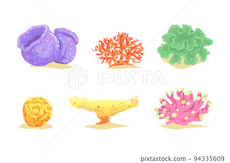 Colorful Coral as Marine Growing Flora from Ocean Bottom Vector Set Colorful Coral as Marine Growing Flora from Ocean Bottom Vector Set 94335609