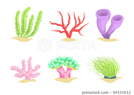 Colorful Coral as Marine Growing Flora from Ocean Bottom Vector Set Colorful Coral as Marine Growing Flora from Ocean Bottom Vector Set 94335612