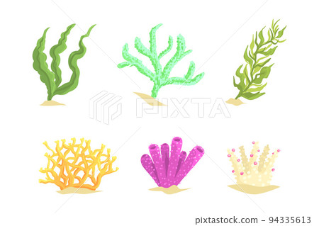 Colorful Coral as Marine Growing Flora from Ocean Bottom Vector Set Colorful Coral as Marine Growing Flora from Ocean Bottom Vector Set 94335613