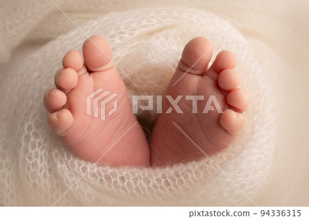 Soft feet of a newborn in a white woolen blanket. Close-up of toes, heels and feet of a newborn baby. The tiny foot of a newborn. Studio Macro photography. Baby feet covered with isolated background.  94336315