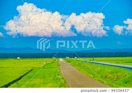 農村和夏天的天空（農村的暑假） 94336437