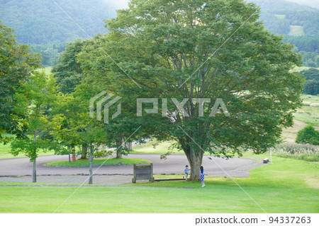 公園 公園 94337263