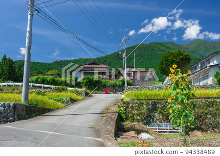 向日葵盛開的鄉間小路，富士川町平林的風景 94338489