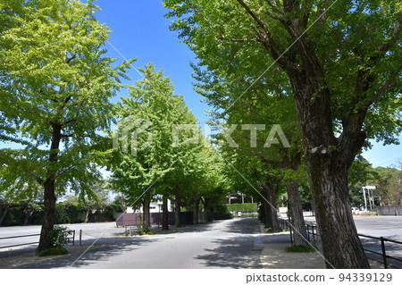 秋天新宮工作地點 秋天新宮工作地點 94339129