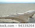 Driftwood of sandy beach 94339264