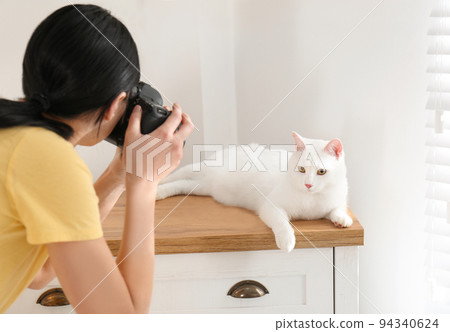 Professional animal photographer taking picture of beautiful white cat indoors 94340624
