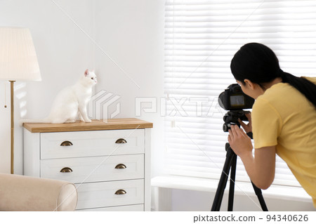 Professional animal photographer taking picture of beautiful white cat indoors 94340626