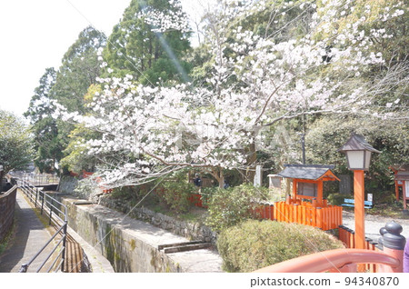 A bridge with beautiful cherry blossoms 94340870