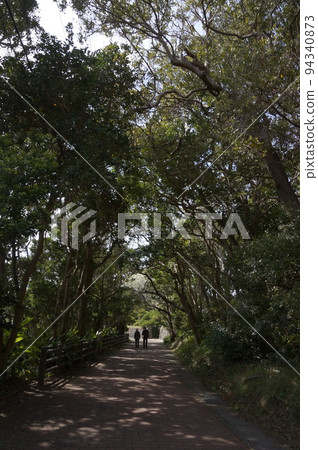 A tree-lined road that calms you down 94340873