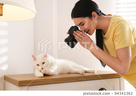 Professional animal photographer taking picture of beautiful white cat indoors 94341362