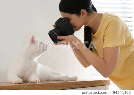 Professional animal photographer taking picture of beautiful white cat indoors 94341363