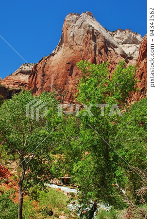 Stunning Zion National Park 94341562