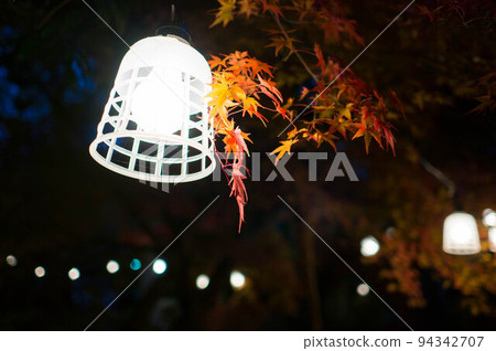 京都 Manshuin Bentendo 燈火通明的秋葉 94342707