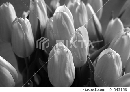Black and white photo. Bouquet of fresh tulips in a vase. 94343168