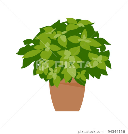 Home plant. Potted plant isolated on white. Flat. Vector illustration. 94344136