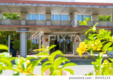 Painushima Ishigaki Airport and Allamanda 94345214