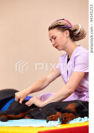 big dog lying on the floor and gets a massage on its thight 94345253