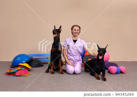 Dog is engaged fitness on massage and physiotherapy carpet. Training device for rehabilitation exercising in the Veterinary clinic 94345264