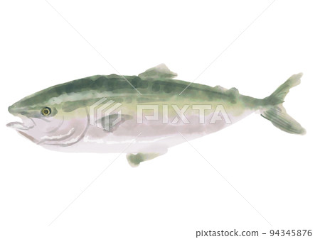 水彩稻田 01 94345876