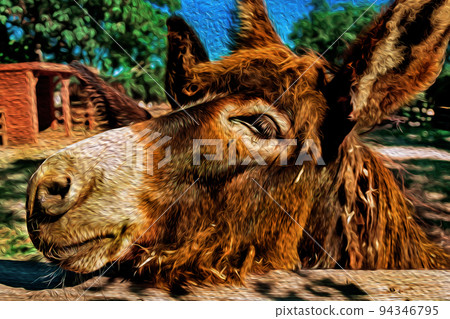 Donkey on a corral from a farm 94346795