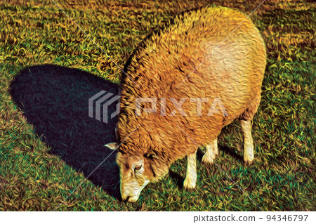 Sheep with a thick layer of wool grazing on lawn 94346797